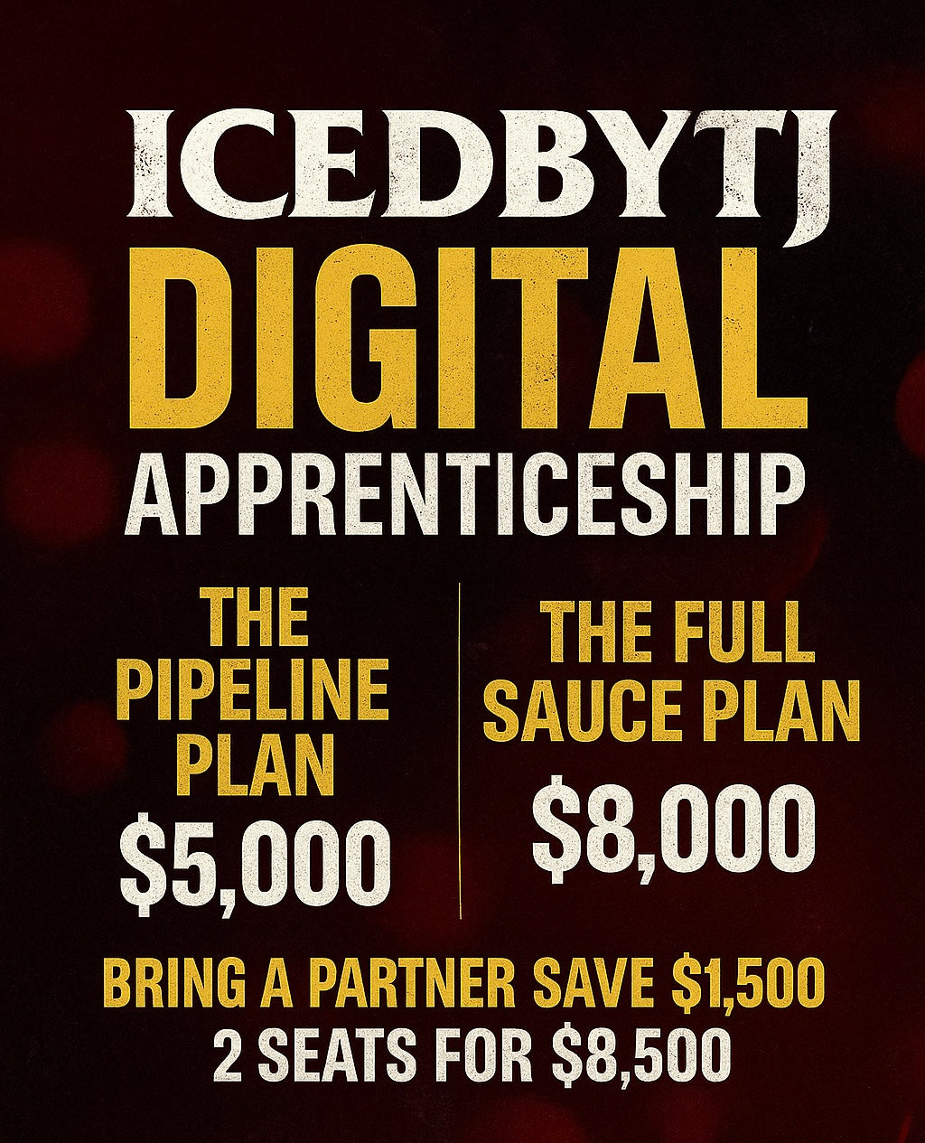 🧊 Digital Apprenticeship